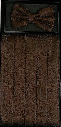 Noble Temperament Brown Paisley Cummerbund and Bow Tie Set