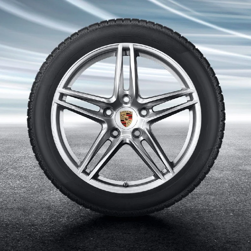 Relaxed Jackets 19-inch "Carrera" Winter Set for 911 (991.1) - in Silver