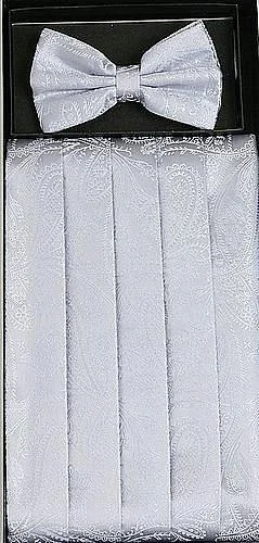 Design Perception Silver Paisley Cummerbund and Bow Tie Set