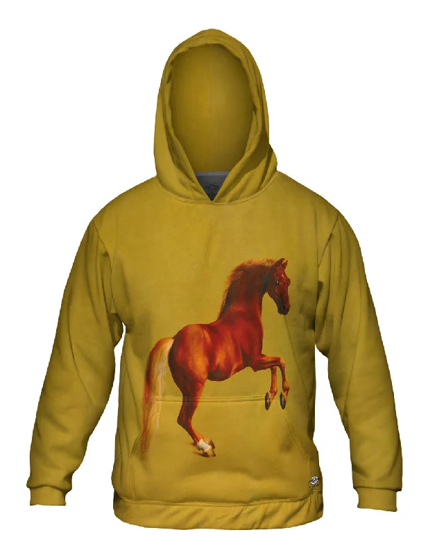Comfortable Sweaters George Stubbs - "Whistlejacket " (1762)