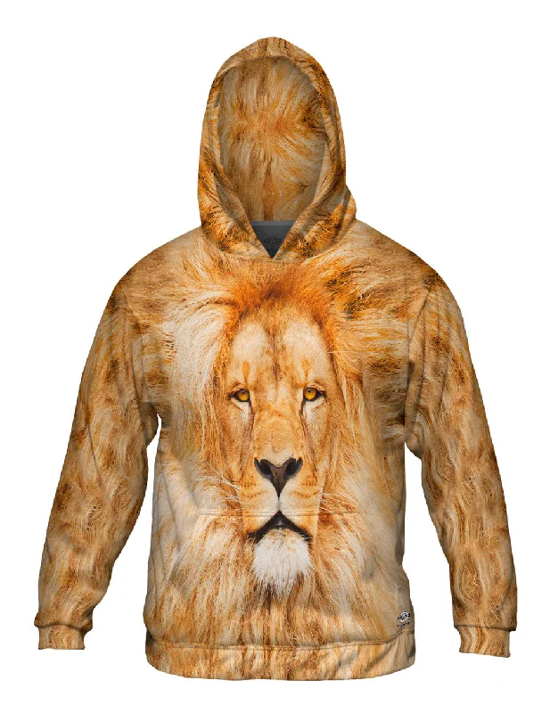 Warm And Comfortable Lion 001