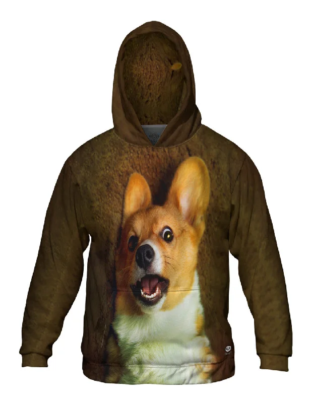 Thin Design OMG Welsh Corgi