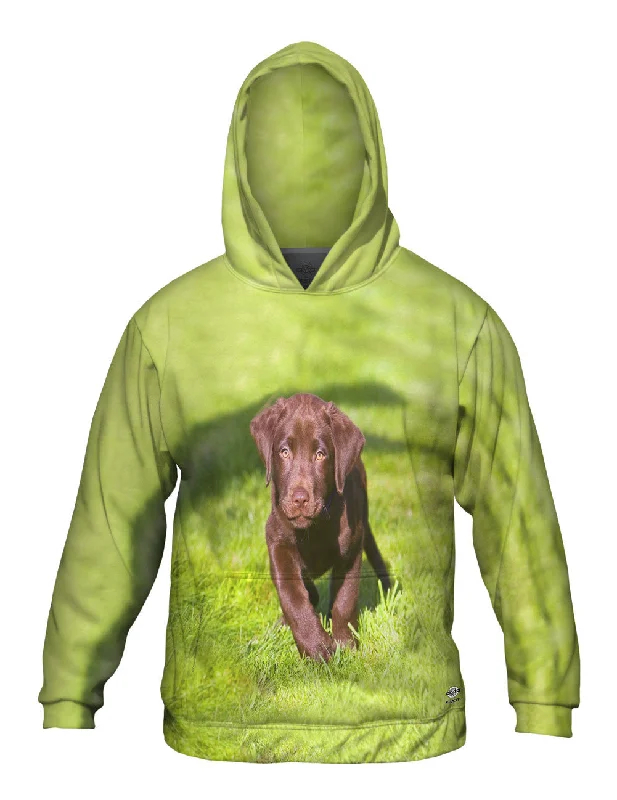 Designer Style Speedy Chocolate Lab