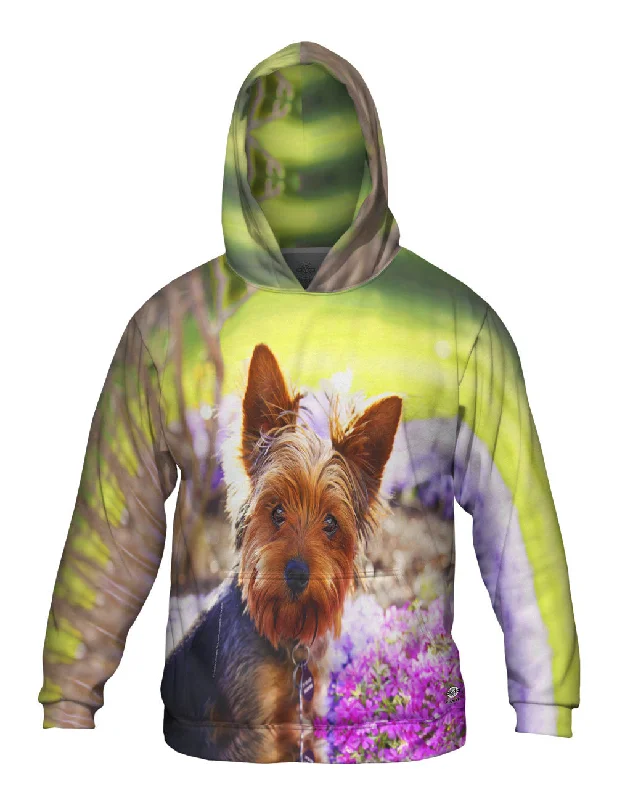 Lazy Style Springtime Yorkie