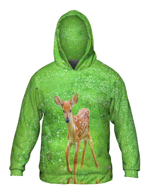 Comfortable Design Sure Footed Young Deer