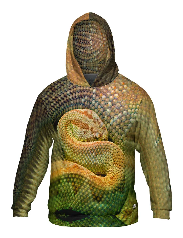 College Style Watchful Rattle Snake